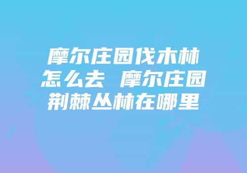 摩尔庄园伐木林怎么去 摩尔庄园荆棘丛林在哪里