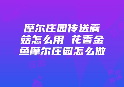 摩尔庄园传送蘑菇怎么用 花香金鱼摩尔庄园怎么做